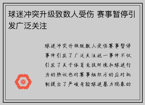 球迷冲突升级致数人受伤 赛事暂停引发广泛关注